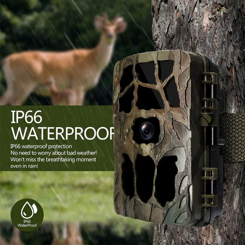 Trail Camera Infrared - H982 IP66 مقاوم للماء 4K الأشعة