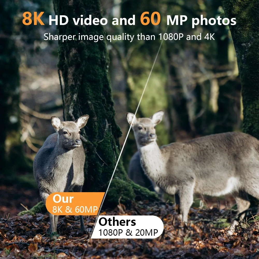 كاميرا IP803W 8K WiFi - IP66 م - مراجعة Trail Camera Infrared وسعره