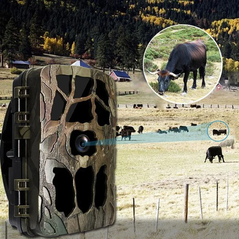 H982 IP66 مقاوم للماء 4K الأشع - مراجعة Trail Camera Infrared وسعره